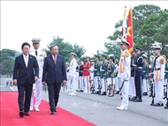 Stronger Vietnam–RoK ties boost ASEAN peace and prosperity: Scholar